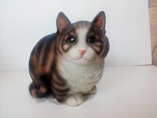 Tabby cat. large for sale  SHREWSBURY