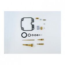 Carburetor repair kit for sale  Ireland