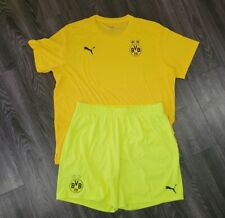 Borussia dortmund shirt gebraucht kaufen  Sengwarden,-Fedderwarden