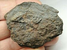 Meteorite sld 2724 for sale  Hebron