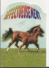 Horse postcard affectueusement usato  Spedire a Italy