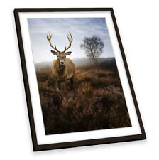 Misty forest deer for sale  UK