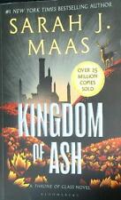 Kingdom ash maas usato  Italia