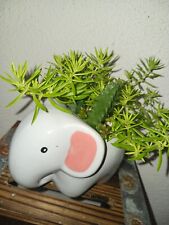 Animal pot plants for sale  USA