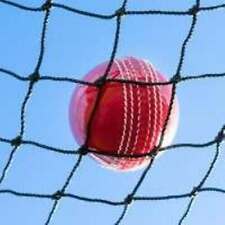 Cricket net ball for sale  Shipping to Ireland