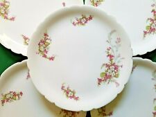 Assiettes pain porcelaine d'occasion  Cugnaux