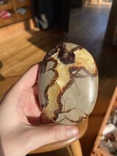 Large septarian crystal for sale  LEWES