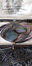 abalone shell for sale  Ireland