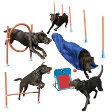 Rosewood dog agility for sale  Shipping to Ireland