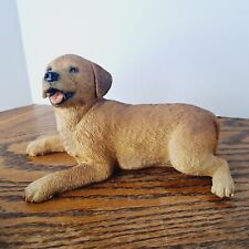 Yellow lab pup for sale  Hammonton