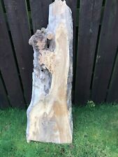 Wonderfully figured elm for sale  COOKSTOWN