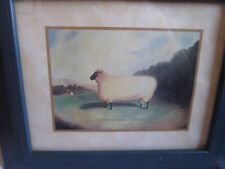 1st prize shropshire for sale  Shipping to Ireland