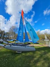 Catamaran rscat14xl for sale  NORTHAMPTON