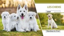 Selos de cães do Chade 2020 MNH Labrador Retriever branco cão pastor suíço 1v P/S comprar usado  Enviando para Brazil
