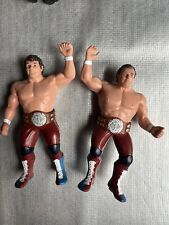 Wwf wrestling superstars for sale  Chicago