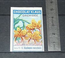 CHROME VIGNETTE CHOCOLATE KLAUS 1920-1930 ORCHID STANHOPEA EUCEPHALA ORCHID for sale  Shipping to South Africa