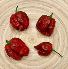 Trinidad scorpion moruga for sale  Shipping to Ireland