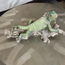 Large iguana branch for sale  LEATHERHEAD