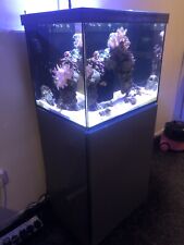 Red sea reefer for sale  ROMFORD