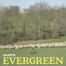 Calcutta evergreen cd usato  Latina