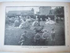 1901 sheep shearing for sale  VERWOOD