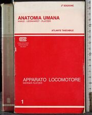 Anatomia umana. apparato usato  Ariccia