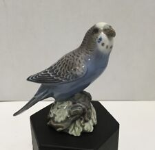parakeet blue for sale  Luray
