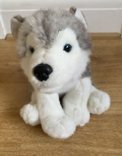 Huskie dog grey for sale  CALLINGTON