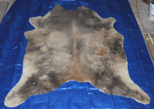 cowhide 5 x7 for sale  Kensett