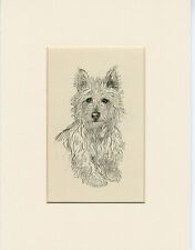 Usato, WEST HIGHLAND WHITE TERRIER VINTAGE 1939 DOG ART PRINT by  K F BARKER usato  Spedire a Italy