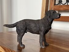 Black labrador lab for sale  LEVEN