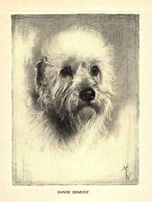 1935 Antique Dandie Dinmont Terrier Print Malcolm Nicholson Illustration 5020n for sale  Shipping to South Africa