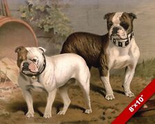 English bulldogs pet for sale  South Jordan