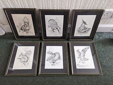 Framed sketches badger for sale  DUNDEE