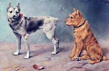 Cartão postal de dois cães comprar usado  Enviando para Brazil