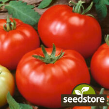 Beefsteak tomato seeds for sale  Tarpon Springs