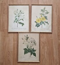 Redoute floral print for sale  WORTHING