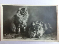 Alte fotokarte katzen gebraucht kaufen  Neu-Ulm