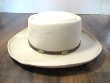 Stetson cowboy hat for sale  Holyoke