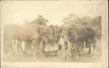 Usado, Postal con foto real de McAllen Cancelar Texas TX Horses San Cortland & Park c1910 segunda mano  Embacar hacia Argentina