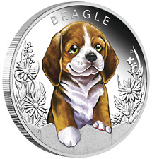 2018 puppies beagle for sale  Sugar Land