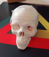 Human skull model for sale  CANNOCK