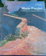 Mario puccini sua usato  Collesalvetti