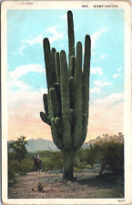Postcard giant cactus for sale  La Salle