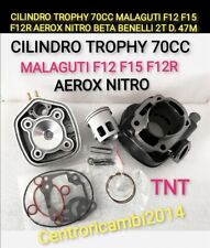 Cilindro trophy 70cc usato  Italia