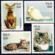 Italia 1993 gatti usato  Trambileno
