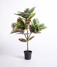 Artificial ficus elastica for sale  GREAT YARMOUTH