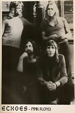Pink Floyd Echoes Poster 24 X 36 comprar usado  Enviando para Brazil