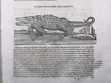 Crocodile 1614 Herpétologie Ethology Zoologie Engraving Ambroise Paré Reptile segunda mano  Embacar hacia Mexico