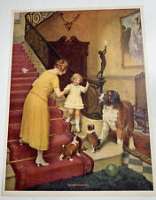 1925 bernard dog for sale  Dayton